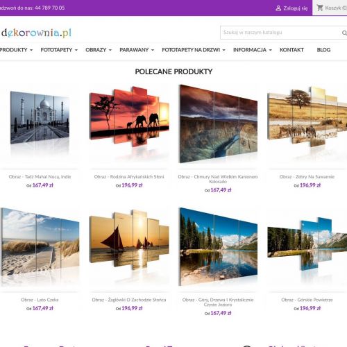 Obrazy z abstrakcjami i kwiatami