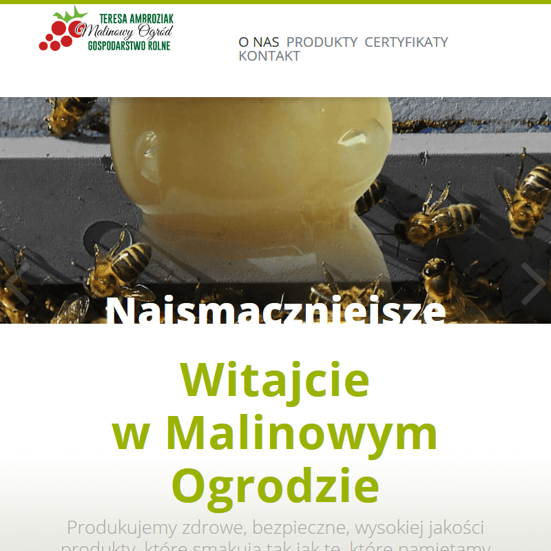 Sklep ze zdrową żywnością online